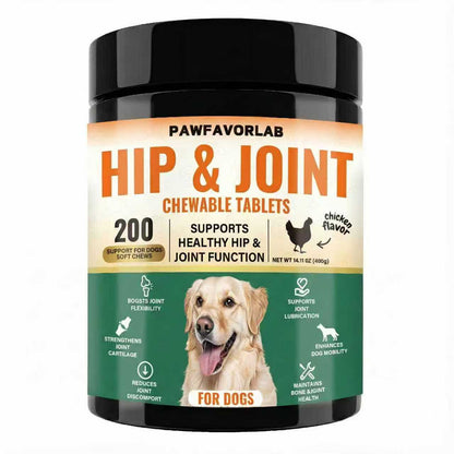 Hip Joint